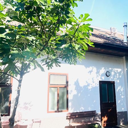 Jokai Apartman Komárno Dış mekan fotoğraf
