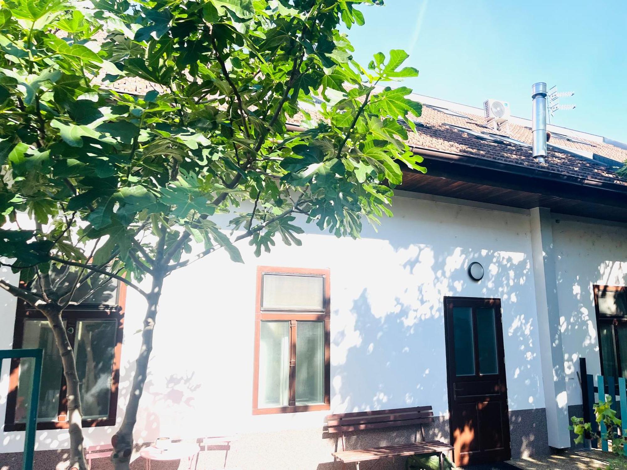 Jokai Apartman Komárno Dış mekan fotoğraf